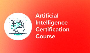 Artificial Intelligence Certification Course