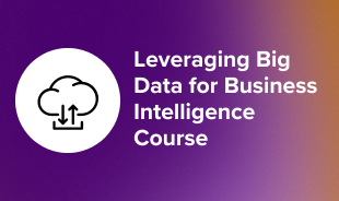 Leveraging Big Data for Business Intelligence Course