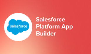 Salesforce Platform App Builder