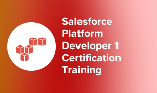Salesforce Platform Developer 1 Certification Training