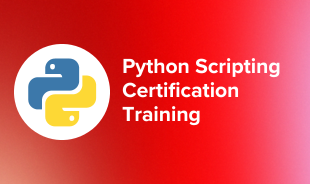 Python Scripting Certification Training