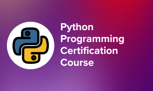 Python Programming Certification Course