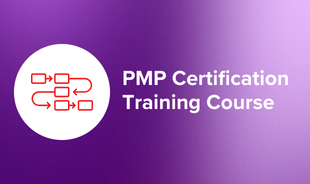PMP Certification Training Course