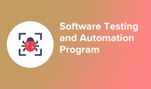Software Testing and Automation Program