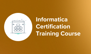 Informatica Certification Training Course